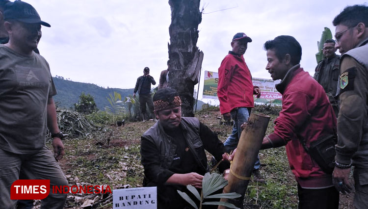 Bupati Bandung Dadang M Naser (tengah) menanam bibit pohon aren di kawasan Curug Tilu, Desa Cipelah, Kecamatan Rancabali, Kabupaten Bandung, Minggu (9/2/20). (FOTO: Iwa/TIMES Indonesia)
