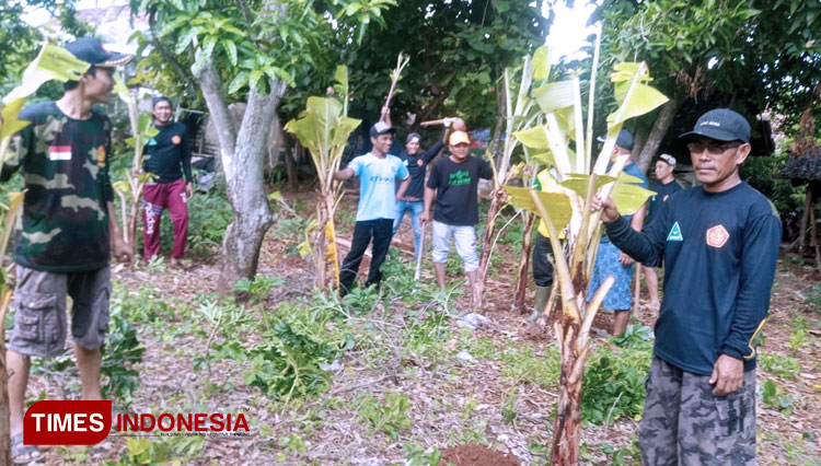 GP Ansor Kecamatan Ujungpangkah Kabupaten Gresik saat menanam pohon pisang. (Foto: Akmal/TIMES Indonesia)