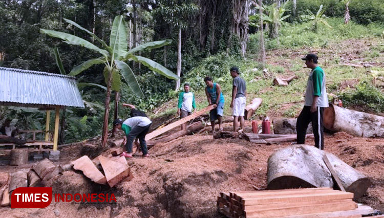 Proses pemilihan kayu untuk rangka gazebo di Ranu Sosro. (FOTO: AJP TIMES Indonesia)