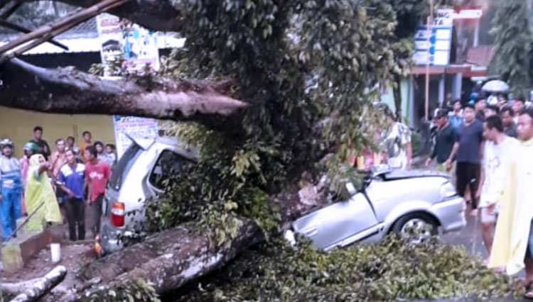 Korban meninggal diduga setelah mobil yang dikendarainya tertimpa pohon tumbang di kawasan Terong, Kecamatan Dlingo Kabupaten Bantul Yogyakarta. (FOTO: Istimewa)