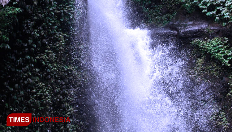 The Beauty of Coban Siok, Taji Village, Malang. (PHOTO: Widya Amalia/TIMES Indonesia)