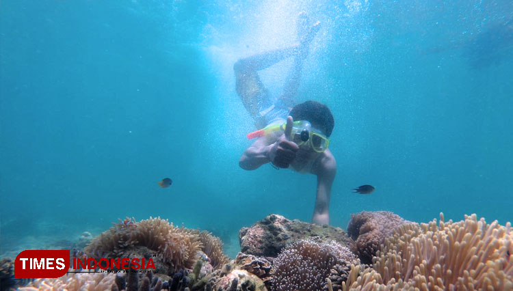Destinasi Wisata Probolinggo Dibagi Menjadi 4 Wilayah, Ini Detilnya