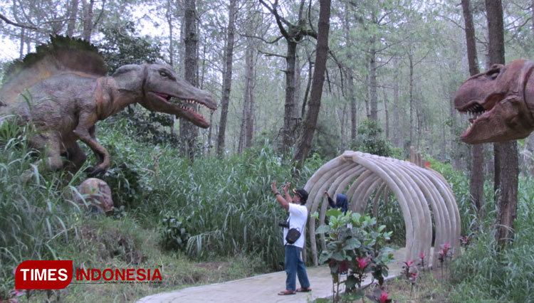 Pengunjung saat melihat salah satu wahana di Mojosemi Forest Park Magetan. (FOTO: Aditya Candra/TIMES Indonesia)