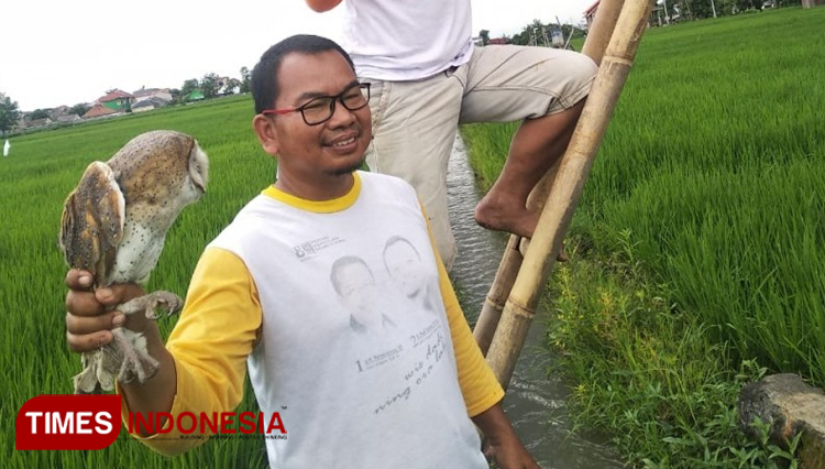 Gapoktan Jaten Karanganyar memanfaatkan burung hantu untuk menangkal hama. (Foto: Mukhtarul Hafidh/Times Indonesia)