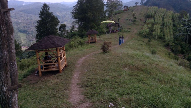 The greenish scenery that will mesmerize your eyes once you visit Mount Argo Lawe in Trenggalek. (PHOTO: tanggaran-pule.trenggalekkab.go.id)