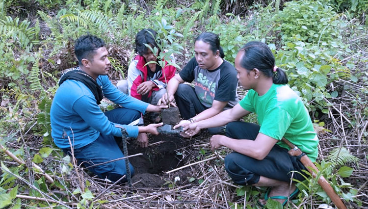 Pegiat lingkungan Laskar Hijau saat melakukan penanaman pohon asal Madagaskar, Afrika di Gunung Lemongan, Lumajang.