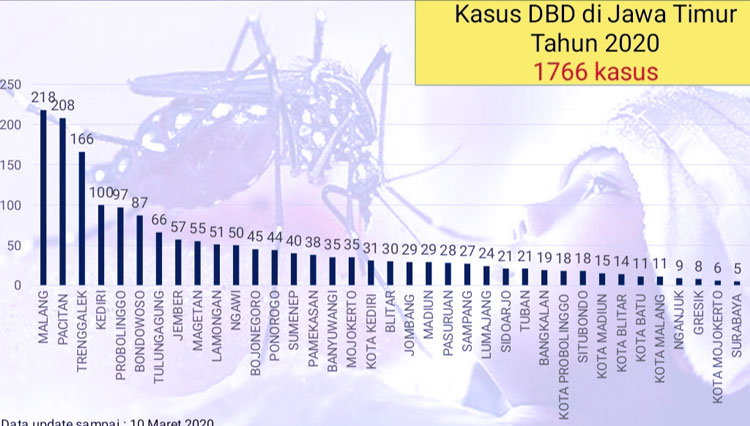 DBD-Dinas-Kesehatan-Provinsi-Jatim-3.jpg
