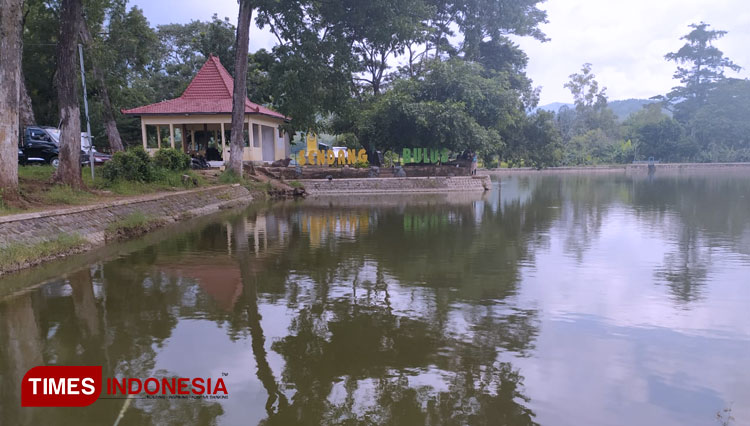 The calm ambience of Sendang Bulus Pager, Bungkal, Ponorogo. (PHOTO: Evita Mukharomah / TIMESIndonesia)