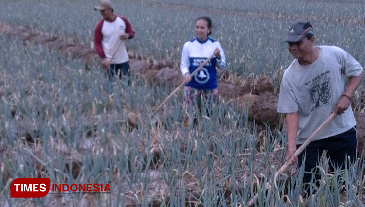Aiptu Muhamad Nurhamid, salah satu anggota Sat Intelkam Polres Majalengka, saat bercocok tanam, seusai bertugas sebagai anggota Polri. (Foto: Jaja Sumarja/TIMES Indonesia)