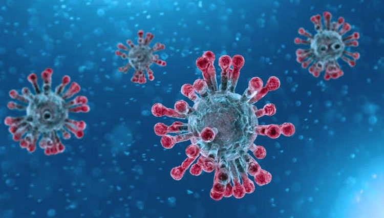 Ilustrasi virus corona (Foto: Istimewa)