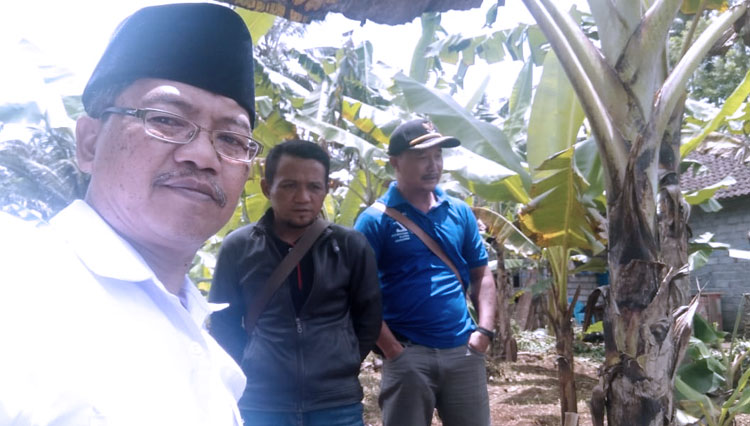 Ketua SAHI Jatim meninjau lokasi perkebunan di Malang selatan. (foto: DPD SAHI Jatim for TIMES Indonesia)