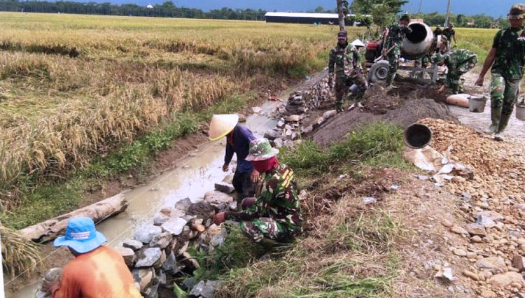tmmd-pekalongan-b.jpg