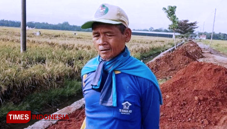 Cokro (60), petani asal Dukuh Sutosari, Desa Pantirejo, Kecamatan Kesesi, Kabupaten Pekalongan, Jawa Tengah. (FOTO: AJP TIMES Indonesia)