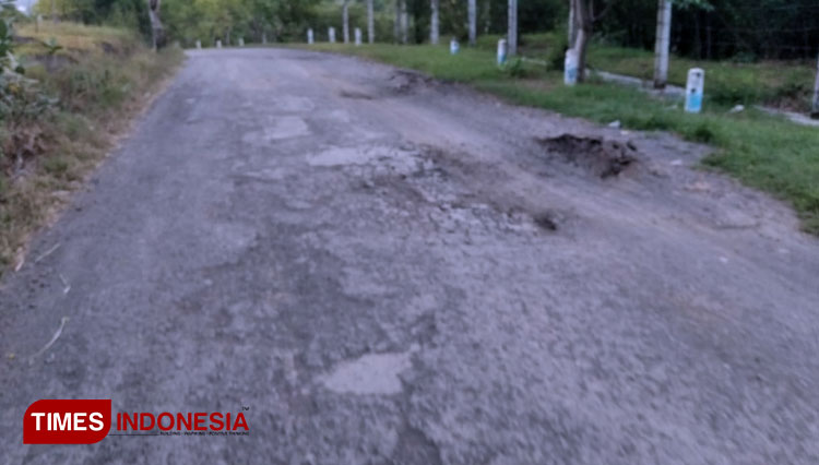 Kondisi jalan rusak dari kelurahan Ardirejo menuju Sliwung. (Foto: Uday/TIMES Indonesia)
