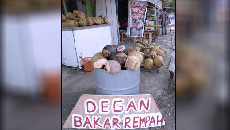 Degan-2.jpg