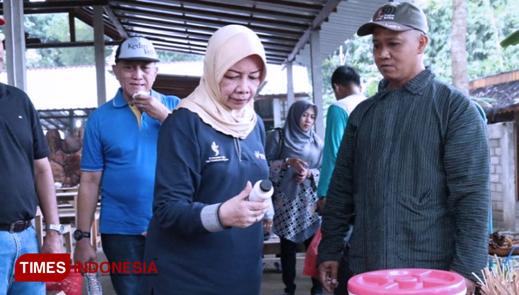Bupati Kediri, dr. Hj. Haryanti Sutrisno saat berkunjung ke lokasi amaliafarm milik Riza, binaan PWMP Polbangtan Malang. (FOTO: AJP TIMES Indonesia)