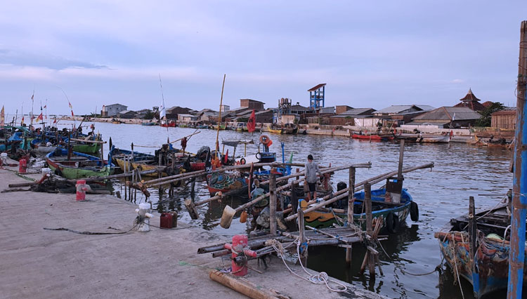 77 Koleksi Ikan Air Laut Semarang Gratis Terbaik