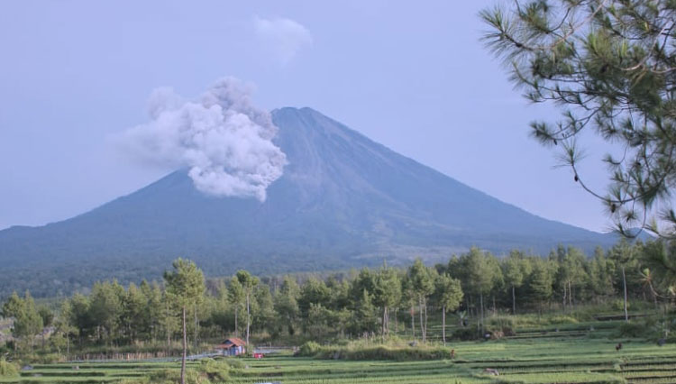 Gunung Semeru Semburkan Awan Panas Times Indonesia