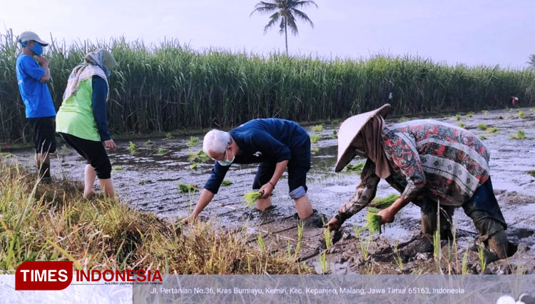 BPPSDMP, Petani Harus Menanam Padi Walau Besok Kiamat | TIMES Indonesia