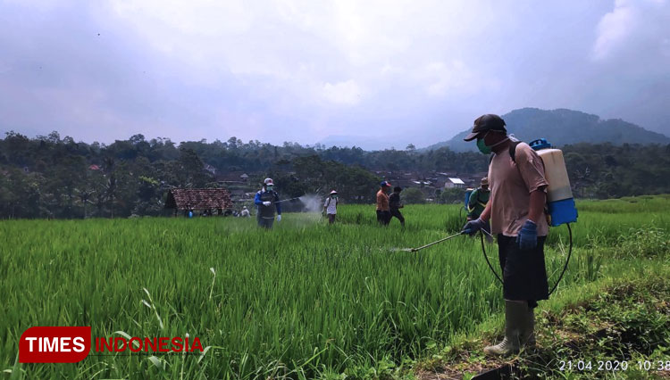(FOTO: AJP TIMES Indonesia)