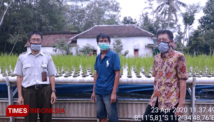 Kegiatan di P4S Hidroganik. (FOTO: AJP TIMES Indonesia)
