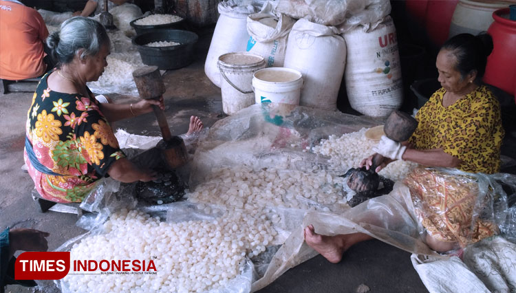 Sarni (60, kiri) dan Warminah (70) memipihkan buah aren yang telah dikupas. (FOTO: Eko Santoso/TIMES Indonesia)