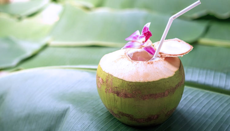 Young Coconut Ice, a healthy drink for Iftar. (FOTO: Hello Sehat)