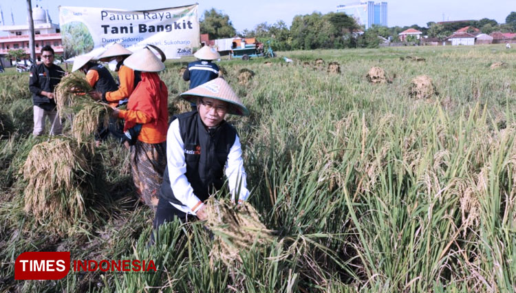 Panen-Raya-2.jpg