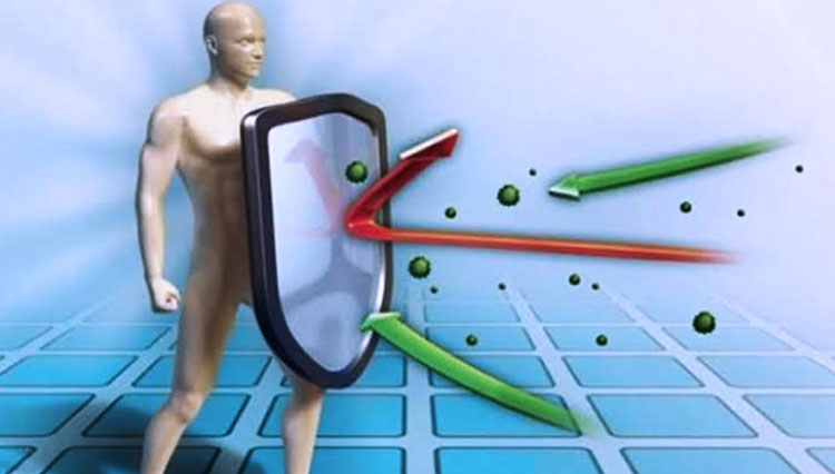 Ilustrasi sistem imun tubuh yang tahan dari virus serta bakteri. (FOTO: jpg-indonesia.net)