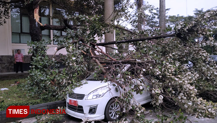 Pohon Tumbang Menimpa Satu Unit Mobil Dinas Di Kantor Bupati Cirebon (FOTO: Devteo MP / TIMES Indonesia)