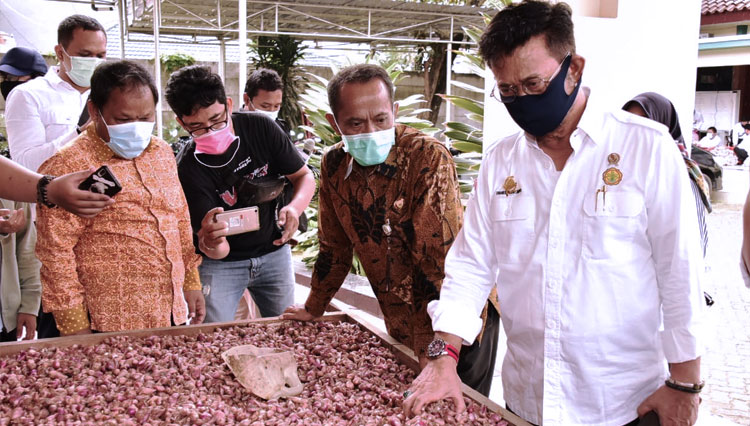 Pengamat Apresiasi Kinerja Kementan RI Jaga Ketersediaan Sembako