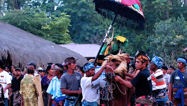 Tradisi pemakaman jenazah penganut kepercayaan leluhur Marapu di Sumba Timur NTT(FOTO:Yudi Rawambaku)