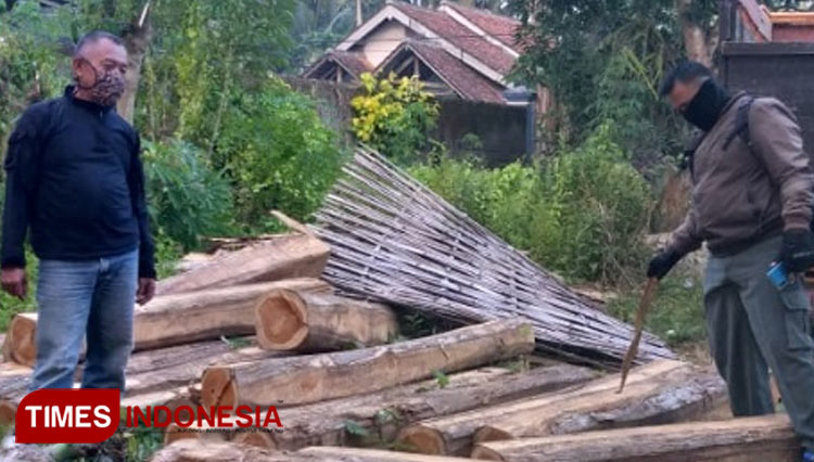 Petugas Polhut Perhutani KPH Banyuwangi Selatan saat mengamankan puluhan balok kayu jati ilegal yang diduga milik Yoga, pegawai Perhutani KPH Banyuwangi Selatan. (Foto : Syamsul Arifin/TIMES Indonesia)