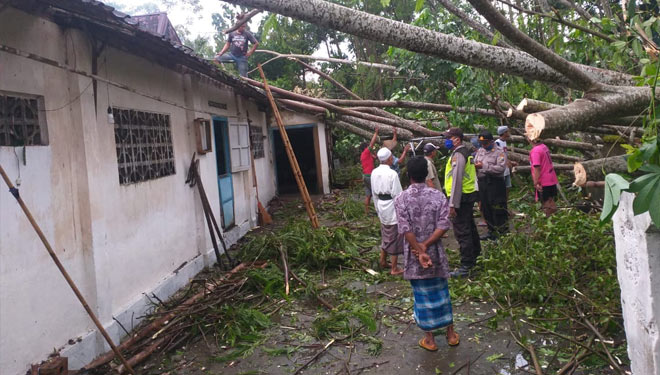 Rumah warga desa Tunjung Kecamatan Udanawu Kabupaten Blitar Jawa Timur rusak akibat pohon tumbang karena hujan deras dan angin kencang, Selasa(2/6/2020) kemarin. (Foto: Humas Polres Blitar Kota) 
