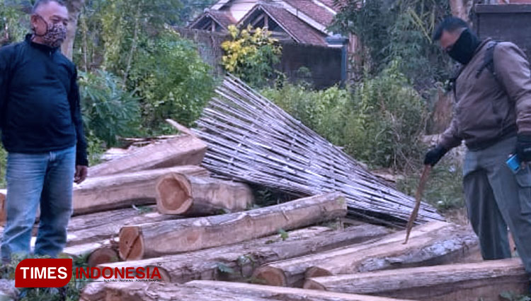Petugas Polhut Perhutani KPH Banyuwangi Selatan saat menemukan puluhan balok kayu jati ilegal milik Yoga James Dwi Betara, pegawai TPK Ringintelu, Perhutani KPH Banyuwangi Selatan. (Foto: Syamsul Arifin/TIMES Indonesia)