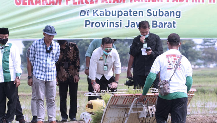 Mentan RI Jamin Panen Padi Masih Aman