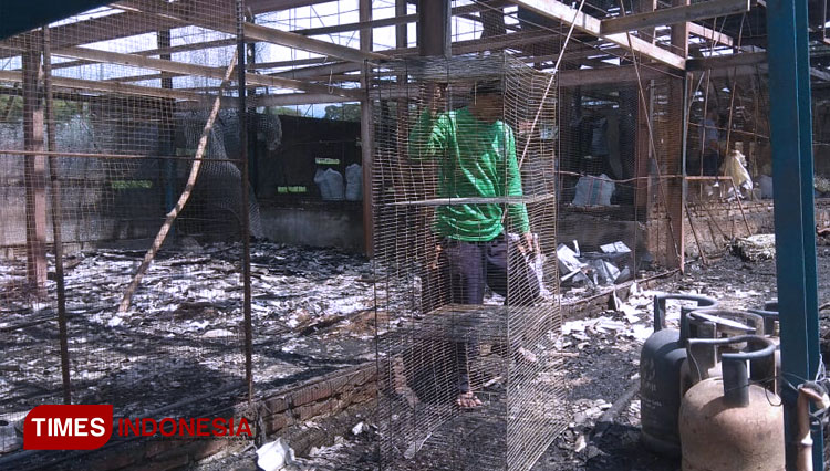 Kandang Kebakaran, Ribuan Ekor Ayam di Magetan Ludes Terpanggang