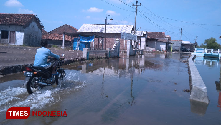 Jalan raya di Desa Surodadi Kecamatan Sayung Demak tergenang Rob. (FOTO: Fuhatur Rohman/TIMES Indonesia)