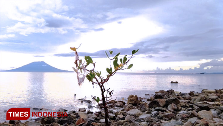 Pembangunan-Dermaga-Peti-Kemas.jpg