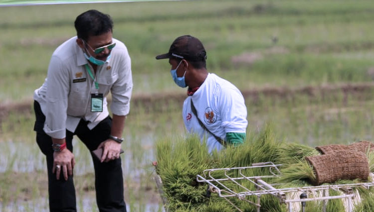 Mentan RI Syahrul Yasin Limpo saat melakukan percepatan tanam padi di Kabupaten Subang, Jawa Barat. (FOTO: Kementan RI for TIMES Indonesia).
