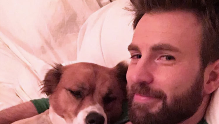 Chris Evans bersama Dodger, anjing kesayangannya. (foto: CHRIS EVANS/INSTAGRAM)