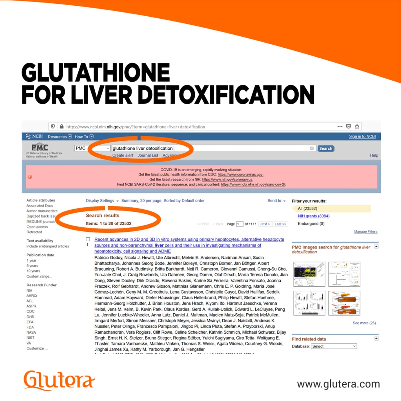 Glutera-news-2.jpg