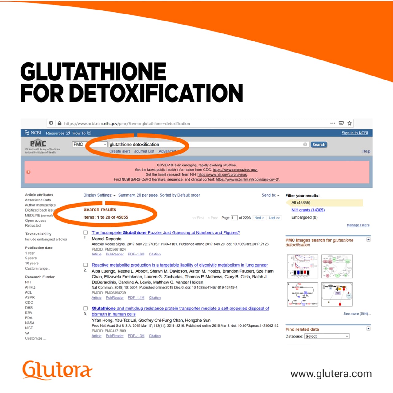 Glutera-news-3.jpg