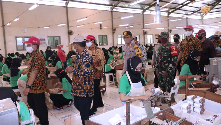 Ada Industri Tangguh Di Pacitan Times Indonesia