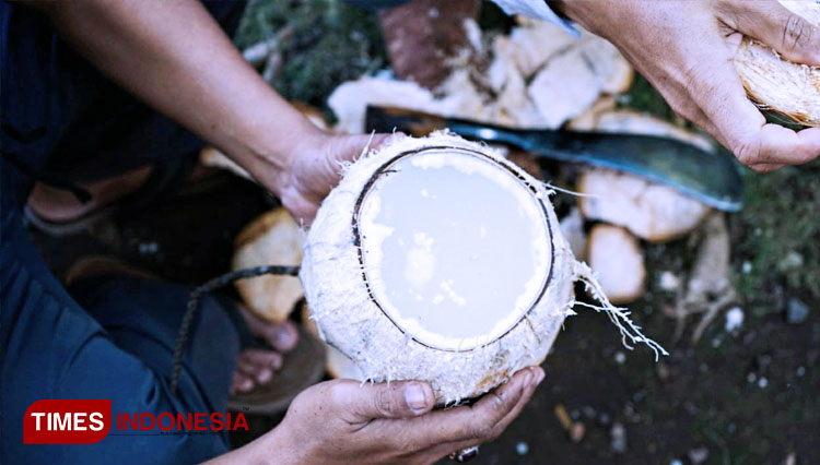 kelapa-kopyor-miliknya-3.jpg