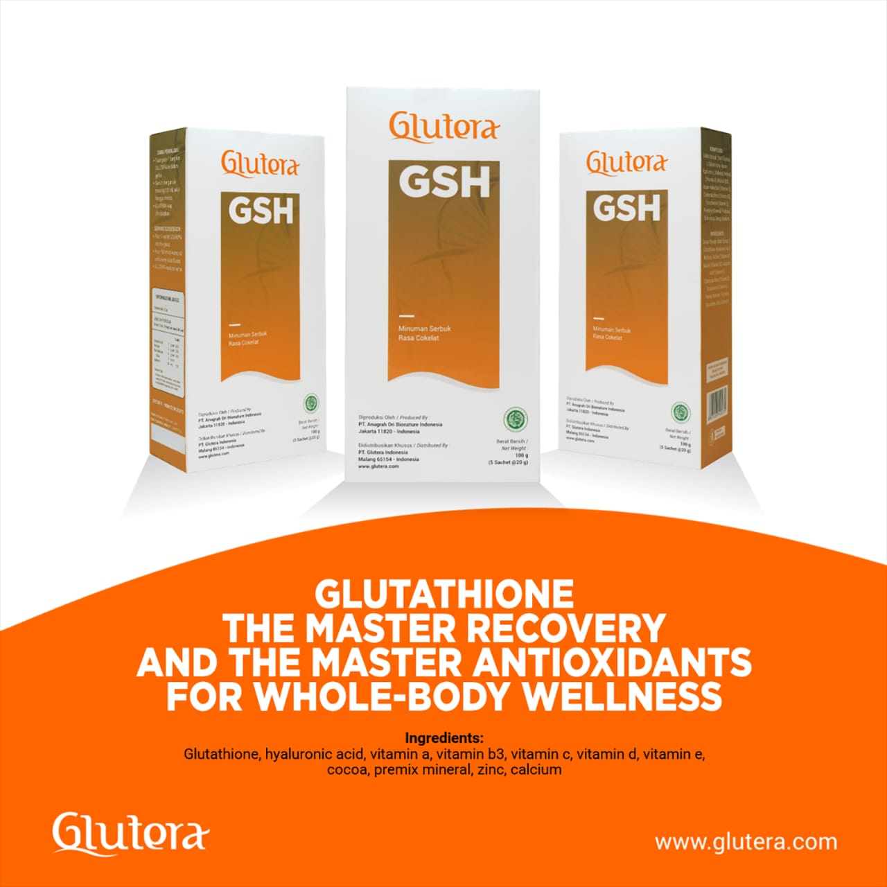 glutera-b.jpg