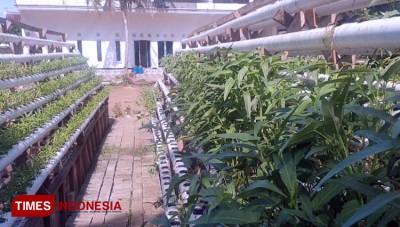 Sukseskan Ketahanan Pangan Kementan RI Cetak Santri Milenial Pertanian