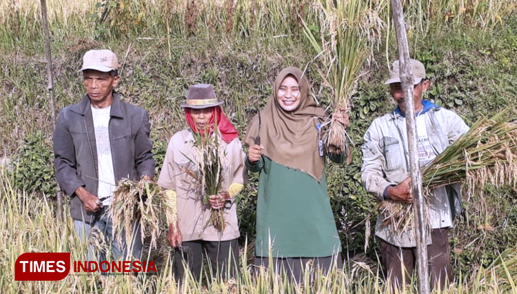 Penyuluh Terus Dampingi Petani untuk hasilkan pangan secara kontinyu. (FOTO: AJP/TIMES Indonesia)