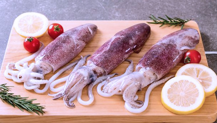 Cumi-Cumi, Seafood Favorit yang Kaya Manfaat | TIMES Indonesia