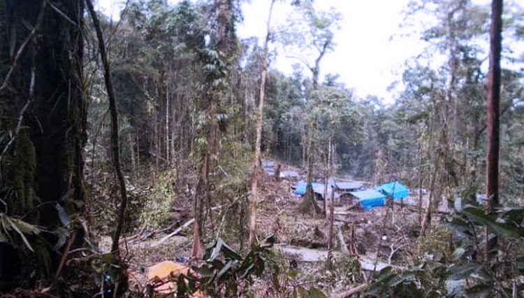 Area 33 Pertabangan Korowai, Papua. (Foto: The Jakarta Post)